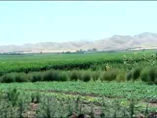 صور Agriculture in Tajikistan جمعيّة