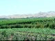 Agriculture in Tajikistan