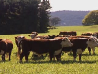 صور Agriculture in Tasmania جمعيّة