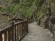 Ancient Plank Road (China)