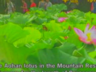 صور Aohan Lotus in Mountain Resort ألطَّقص