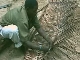 Искусство плетения в Занзибаре