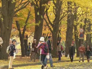صور Autumn Parks in Sapporo متنزّه