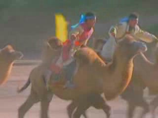 صور Camel Racing تسلية