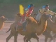 Camel Racing