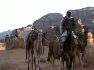 صور Camel route to Wadi Rum سياحة