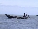 Chilika Lake