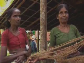 صور Coconut industry in Kerala جمعيّة