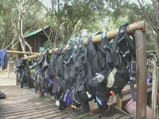 صور Diving School Parque de Malongane غوص