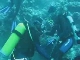 Diving in Jeddah