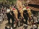 Фестиваль слонов в Индии (Индия)