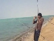 Fishing in Jeddah (サウジアラビア)