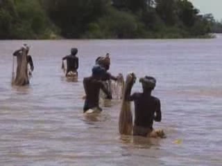 صور Fishing in Kerala صيد السمك