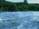 نهر آمور