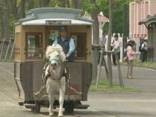 صور Historical Village of Hokkaido متحف