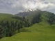 Khyber Pakhtunkhwa