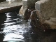 Matsumoto Hot Springs