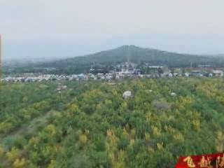 صور Mausoleum of the First Qin Emperor متحف