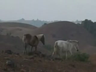 صور Nongkhnum Island جزيرة