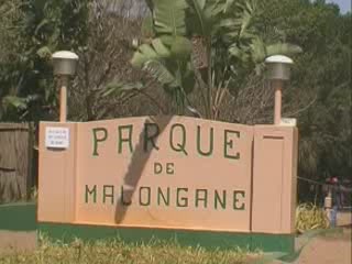 صور Parque de Malongane متنزّه