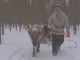 Riding on Reindeer in Posio