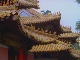 Roof of the temple complex (China)