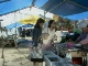 Selling Seafood of Tomonoura