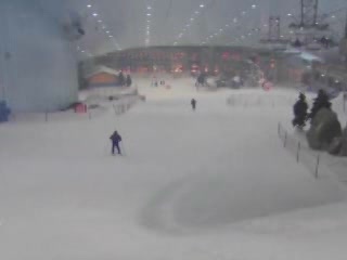 صور Ski Dubai التزحلق