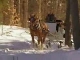 Sleigh Rides in New Hampshire