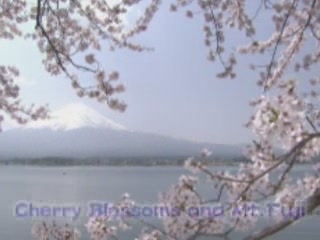 صور Spring in Yamanashi ألطَّقص