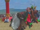 Монгольская борьба