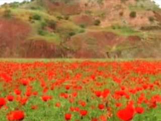 صور Summer in Tajikistan ألطَّقص