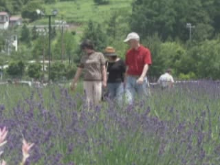 صور Summer in Yamanashi ألطَّقص