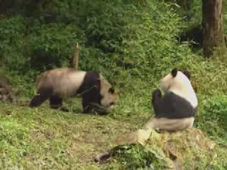 صور Tai Bai Nature Reserve متنزه وطني