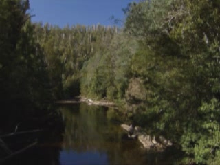 صور Tasmania Natural Reserves متنزه وطني