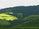 Tea plantations in Burundi (بوروندي)