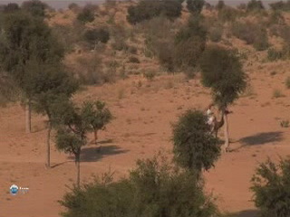 صور Thar Desert in Rajasthan المناظر الطبيعية