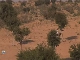 Thar Desert in Rajasthan (India)