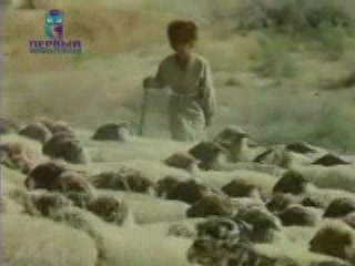 صور Sheep breeding in  Turkmenistan جمعيّة