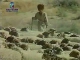 Овцеводство в Туркменистане