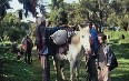 Addis Merkato market صور