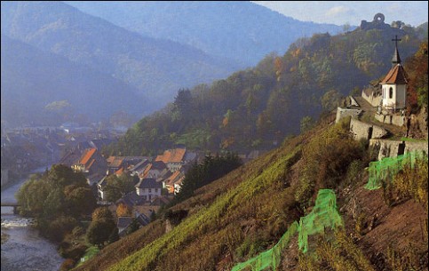 Эльзас – гостепримный винодельческий край. Колоритные деревни с утопающими в цветах фахверковыми домами, готические соборы и замки, знаменитая «винная дорога»