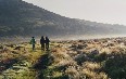 Bale Mountains National Park 写真