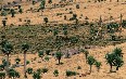 Bale Mountains National Park 写真