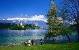 Bled صور