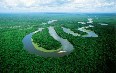 Ecuadorian Amazon صور