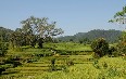 尼泊尔、风景 图片