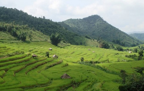 Surrounded by the tallest mountains in Thailand, it’s fresher than the rest of the country. 