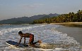 Sierra Leone, resort Images