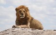 Serengeti National Park Images